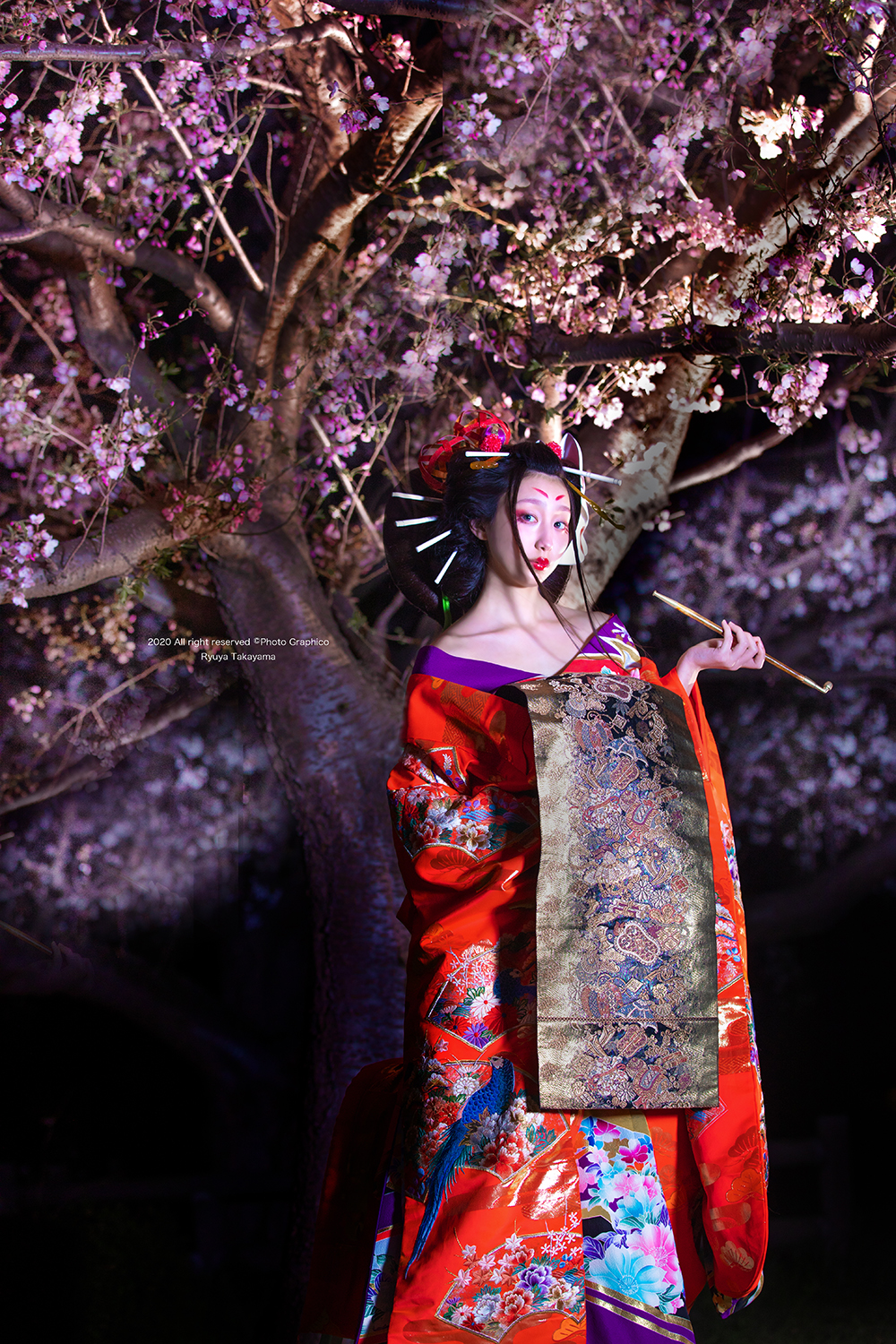 自粛前の夜桜と花魁撮影 東京都日本橋 フォトスタジオ Photo Graphico 東京都でフォトスタジオ プロフィール写真撮影と言えばphoto Graphico 本物盛れ写真をプロカメラマンが撮影 日本橋の本格写真スタジオ